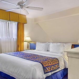 One-Bedroom Suite